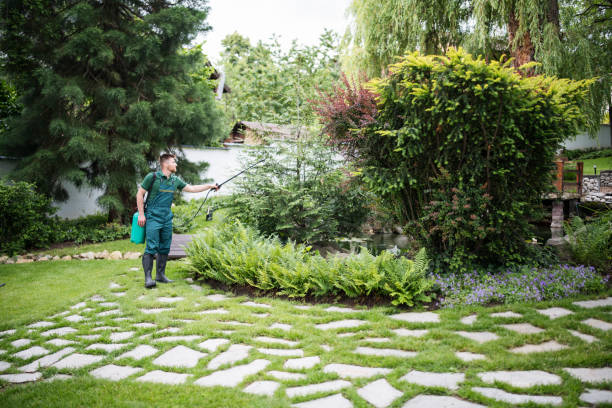 Best Commercial Pest Control Services  in Clayton, DE