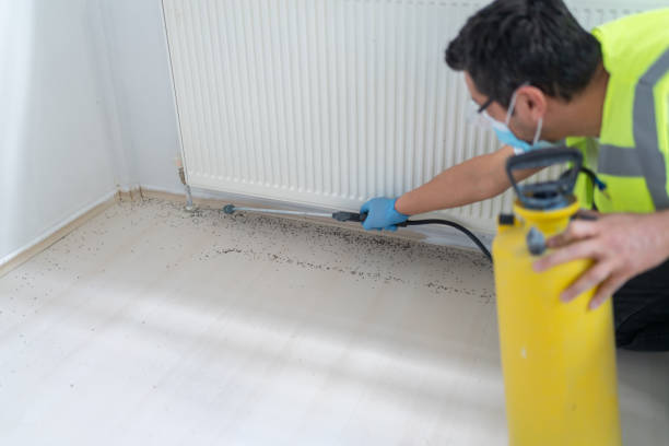 Best Residential Pest Control  in Clayton, DE