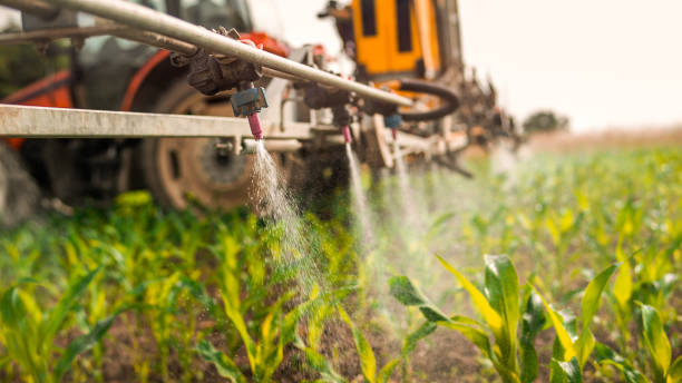 Reliable Clayton, DE Pest Control Solutions